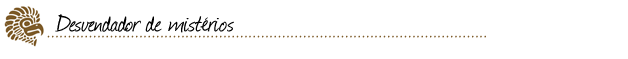 DESVENDADOR DE MISTÉRIOS