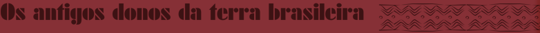 Os antigos donos da terra Brasileira