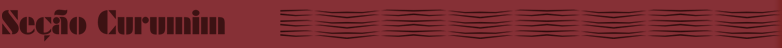 Seção Curumim